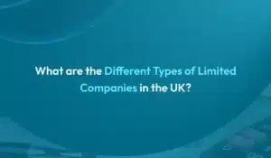Different Types of Limited Companies