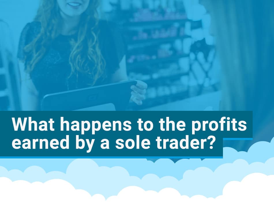 What happens to the profits earned by a sole trader?